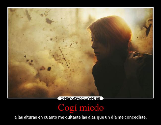 Cogí miedo - a las alturas en cuanto me quitaste las alas que un día me concediste.