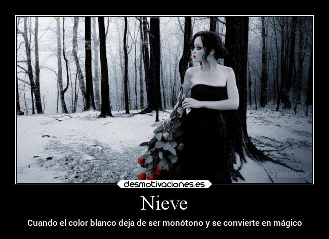carteles motivaciones nieve blanco monotono magico desmotivaciones