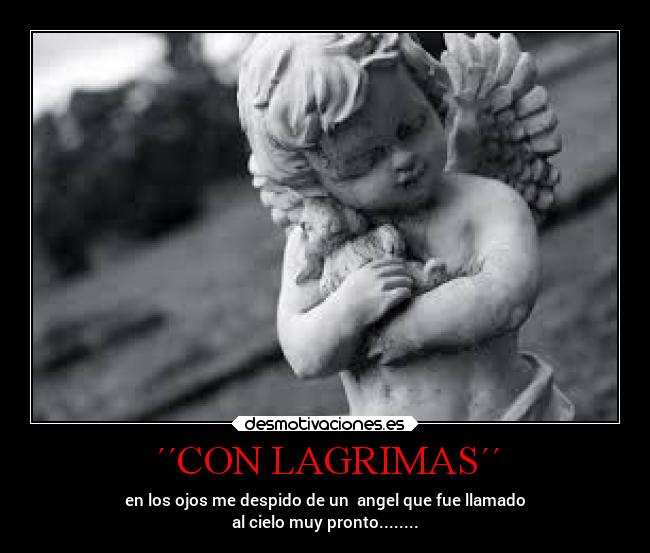 carteles muerte familia amor laalianzarebelde locosdeamor desmounidos mdsm tristesa angel cielo desmotivaciones