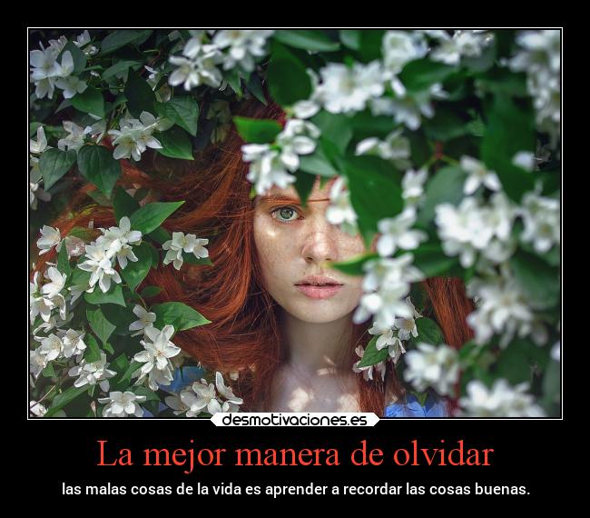 La mejor manera de olvidar - las malas cosas de la vida es aprender a recordar las cosas buenas.