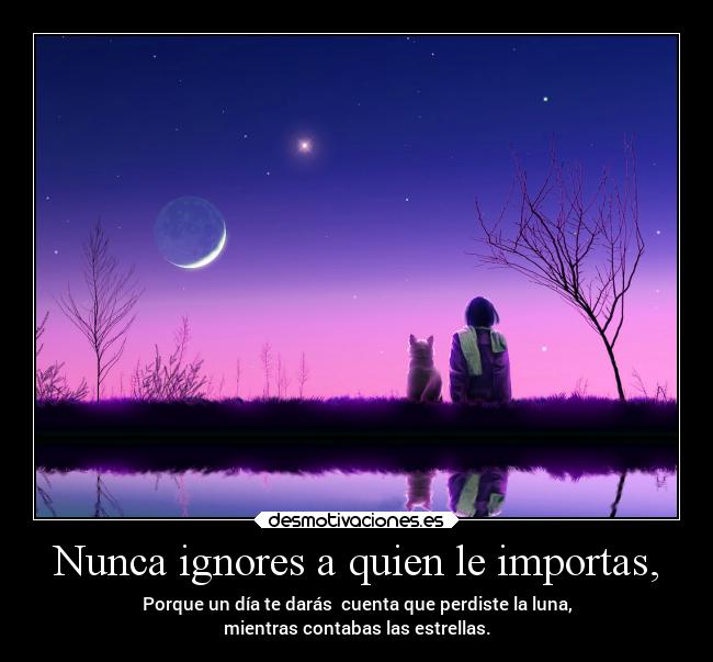 Nunca ignores a quien le importas, - Porque un día te darás cuenta que perdiste la luna,
mientras contabas las estrellas.