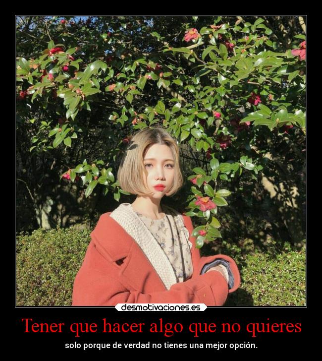 carteles pensamientos vida tristeza projectd desmotivaciones