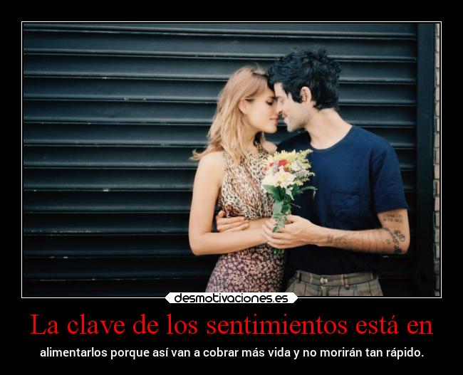 La clave de los sentimientos está en -