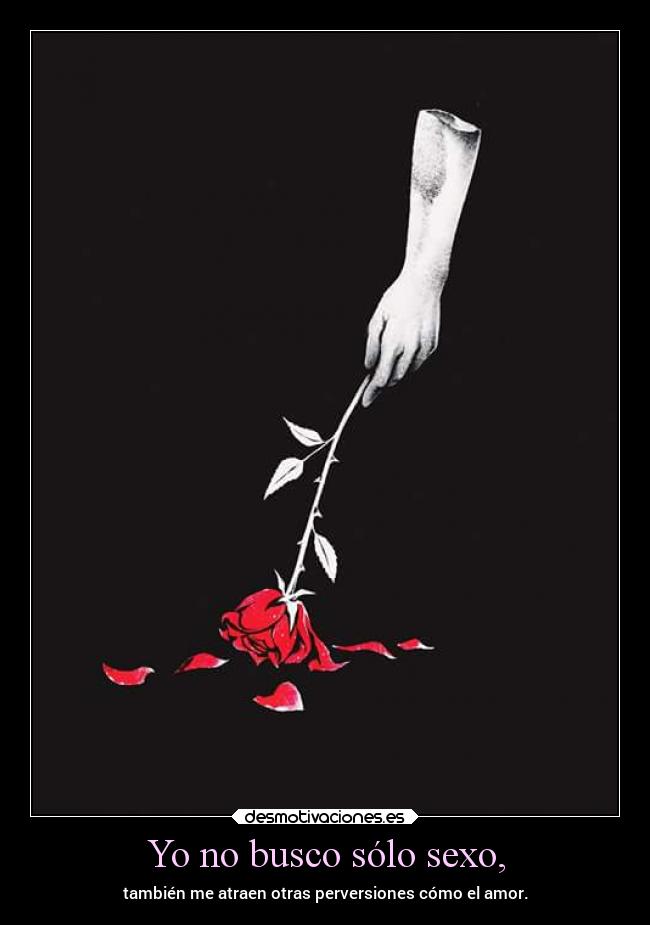 Yo no busco sólo sexo, - también me atraen otras perversiones cómo el amor.