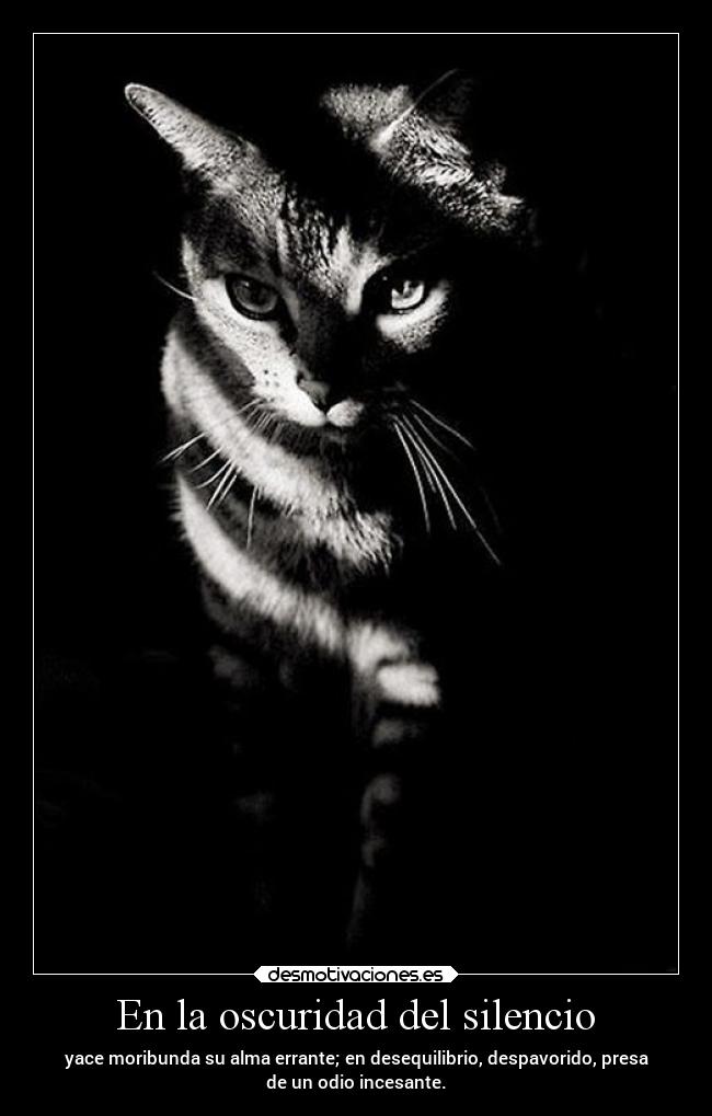 En la oscuridad del silencio - yace moribunda su alma errante; en desequilibrio, despavorido, presa
de un odio incesante.
