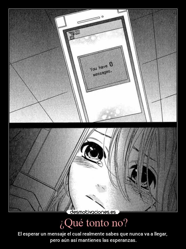 ¿Qué tonto no? - El esperar un mensaje el cual realmente sabes que nunca va a llegar,
pero aún así mantienes las esperanzas.