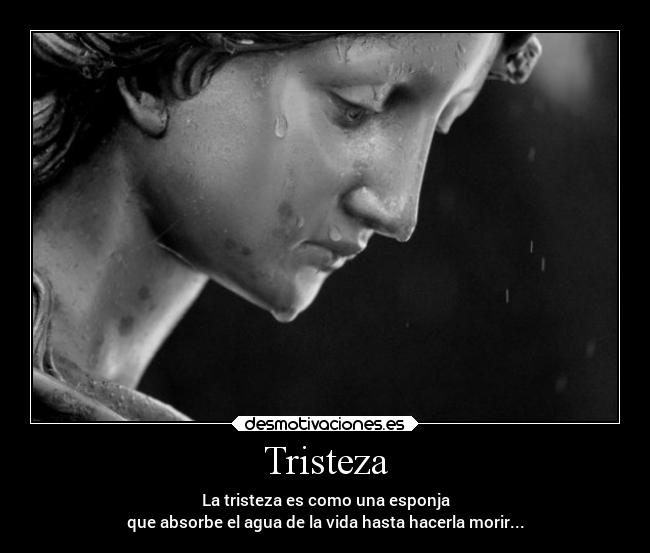 Tristeza - La tristeza es como una esponja
que absorbe el agua de la vida hasta hacerla morir...