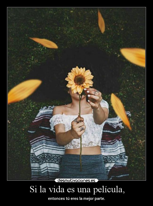 carteles vida alma binario10 pelideadultos pelidedrama pelidesuspenso pelidyoquese desmotivaciones