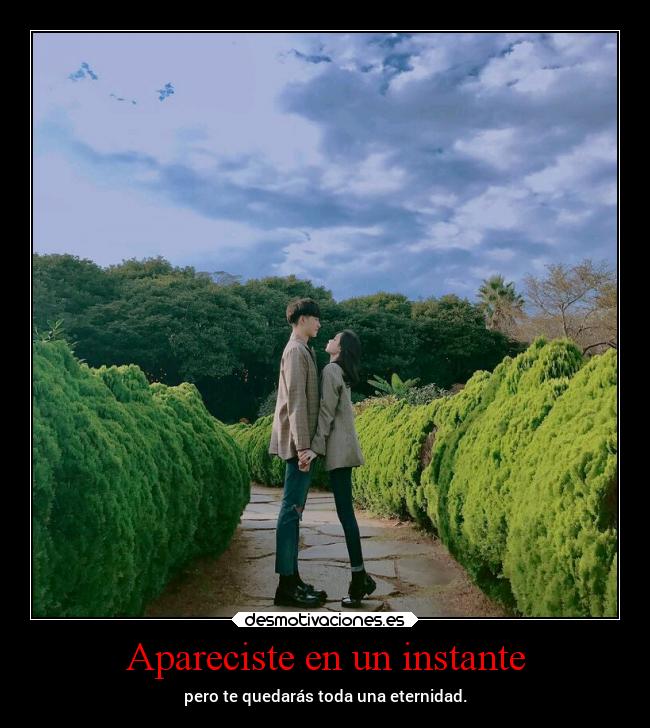 Apareciste en un instante -