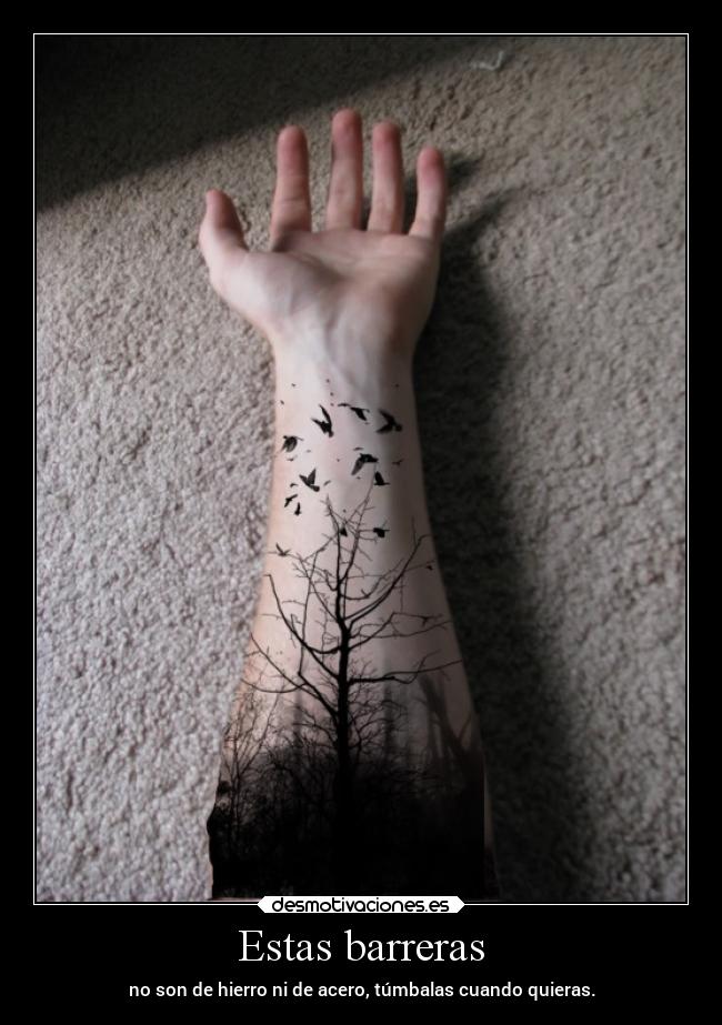 Estas barreras -