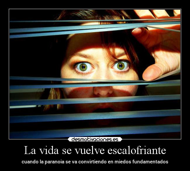 La vida se vuelve escalofriante - cuando la paranoia se va convirtiendo en miedos fundamentados