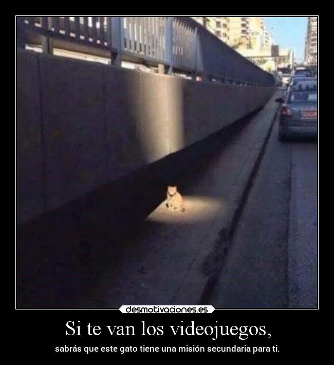 Si te van los videojuegos, - 