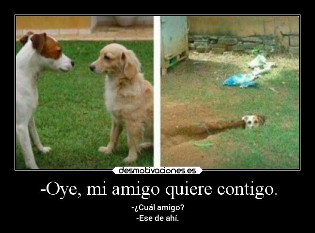 -Oye, mi amigo quiere contigo. -