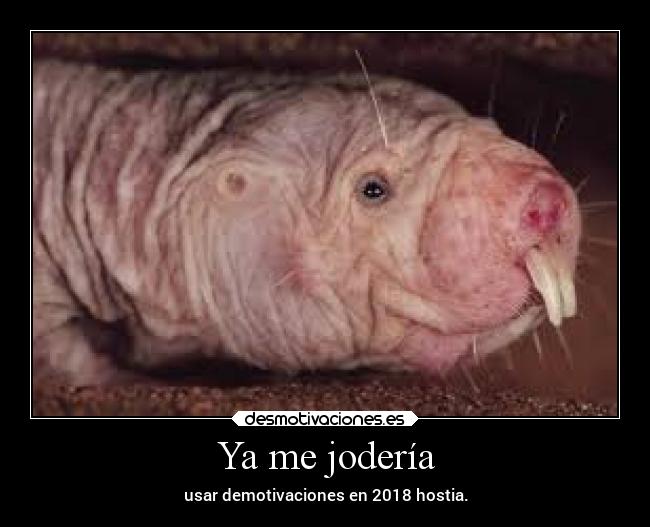 Ya me jodería - usar demotivaciones en 2018 hostia.