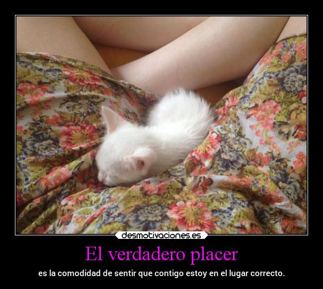 El verdadero placer - es la comodidad de sentir que contigo estoy en el lugar correcto.