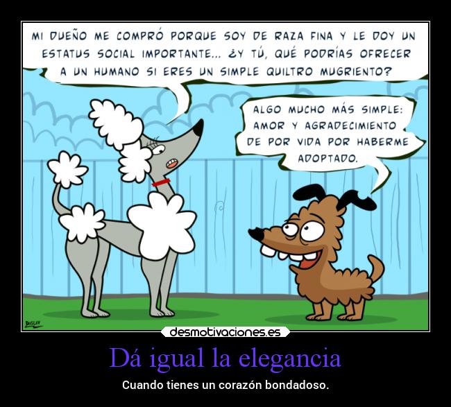 carteles animales perros razas quiltro elegancia agradecimiento draconequus49 desmotivaciones