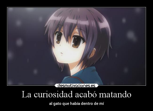 La curiosidad acabó matando - al gato que había dentro de mí