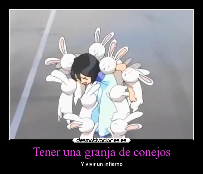 Tener una granja de conejos -