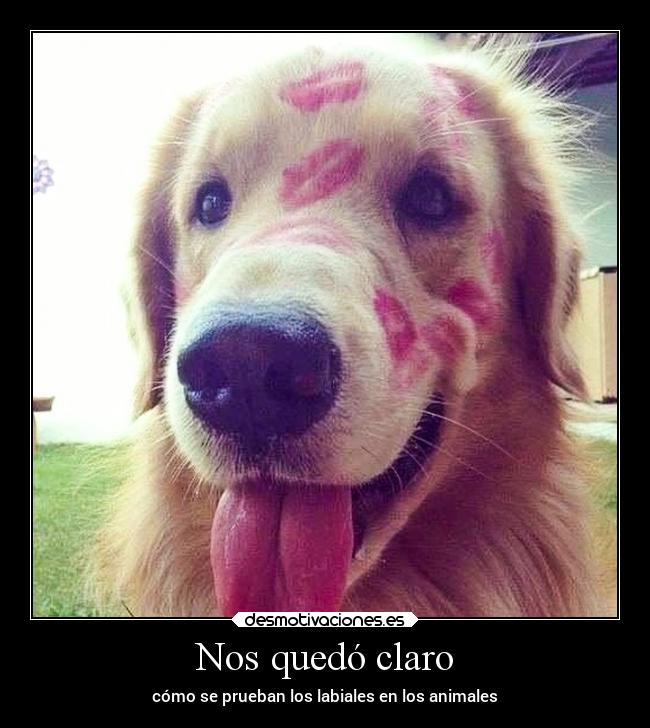 Nos quedó claro - cómo se prueban los labiales en los animales