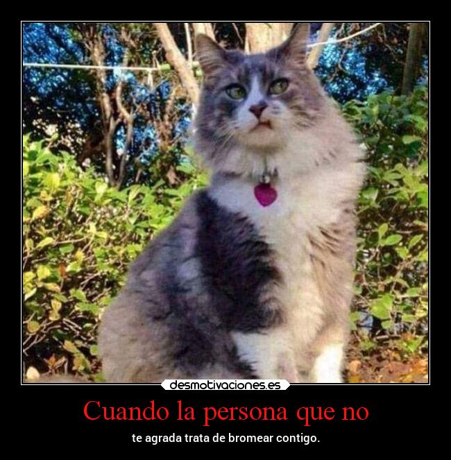 Cuando la persona que no - 