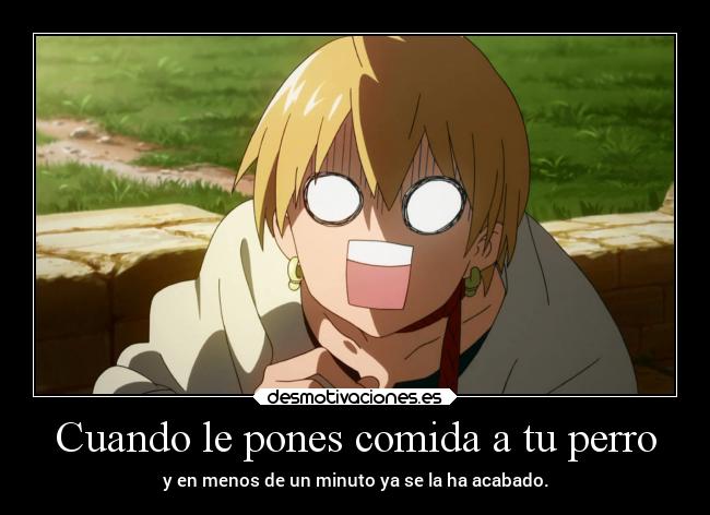 carteles comida anime humor perro raptorhunters harukaze erosekai magi alibaba desmotivaciones