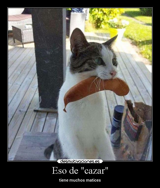 Eso de cazar - tiene muchos matices