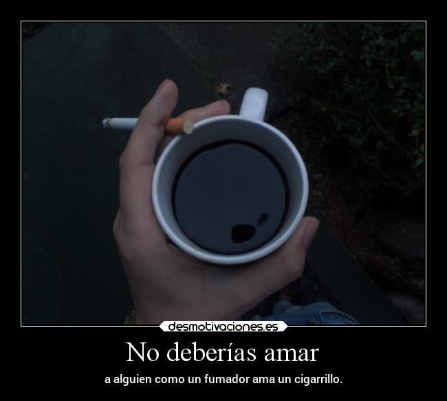 No deberías amar -
