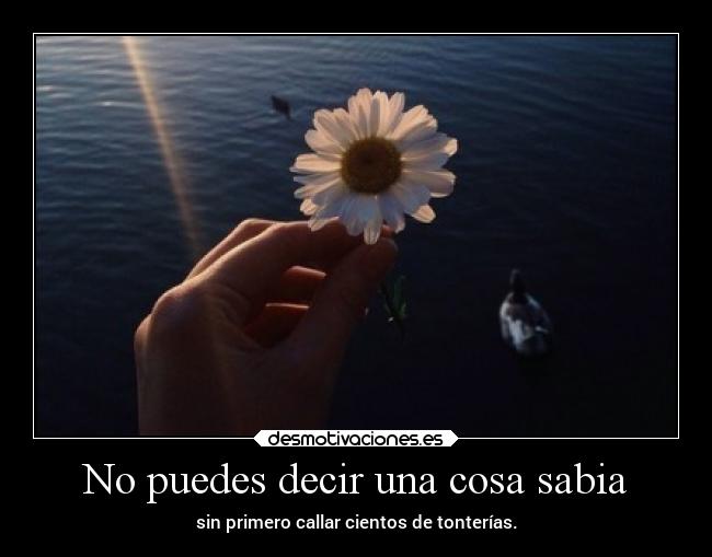 No puedes decir una cosa sabia -