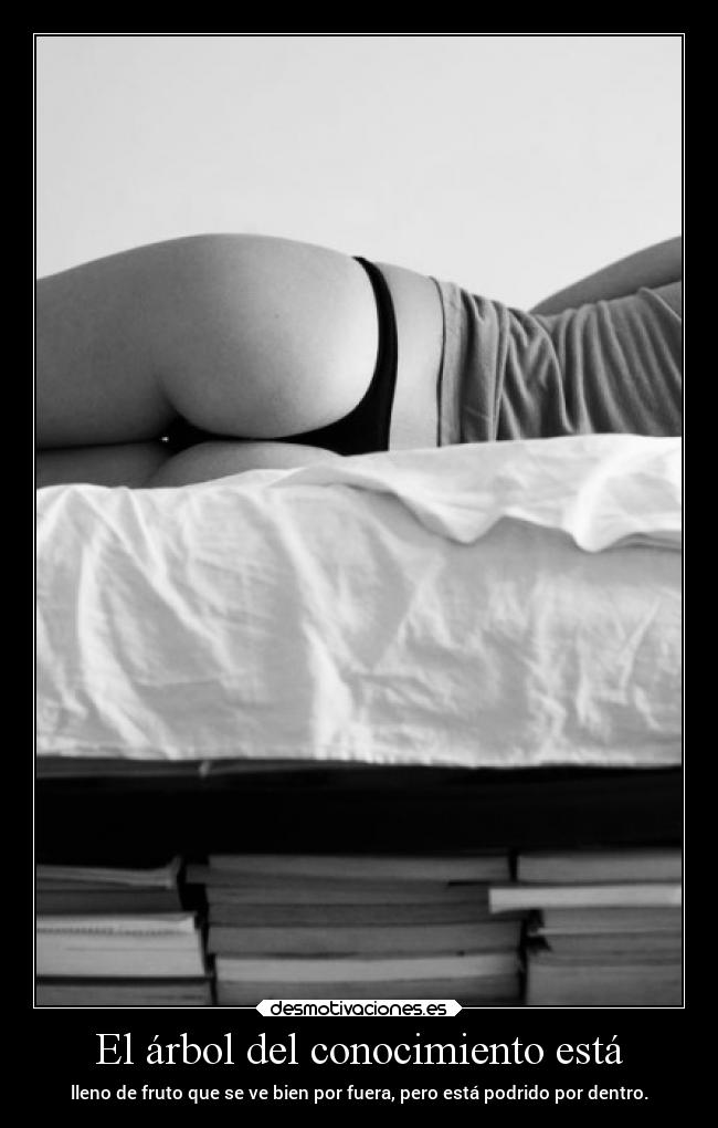 carteles desmotivaciones vida clandesplazado soyunidiotatm projectd manada32 desmotivaciones