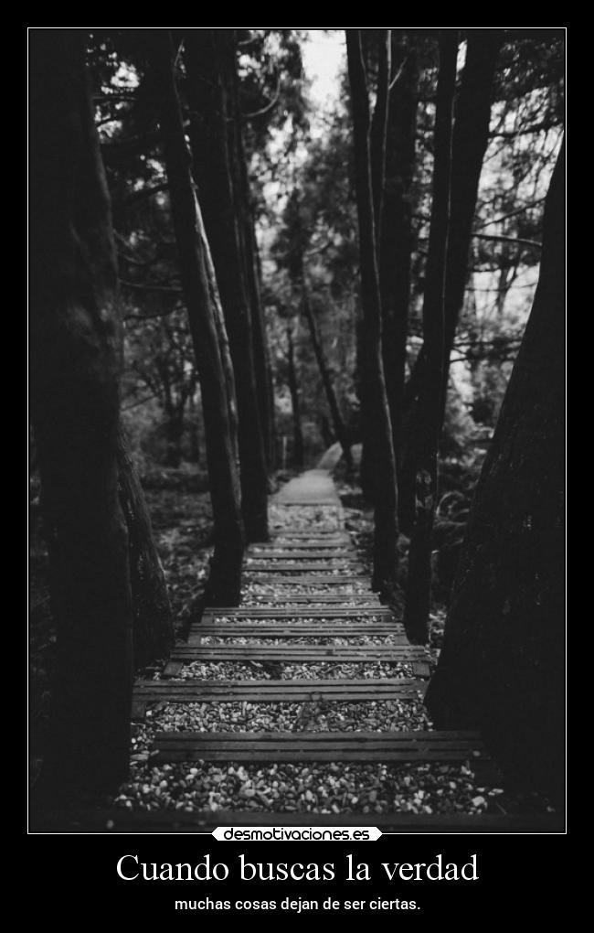 Cuando buscas la verdad - 