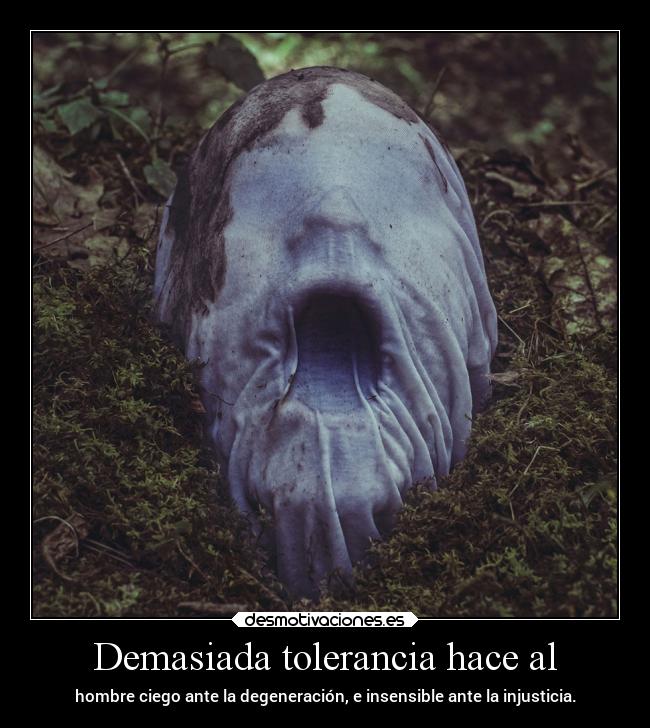 Demasiada tolerancia hace al -