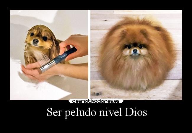 Ser peludo nivel Dios -