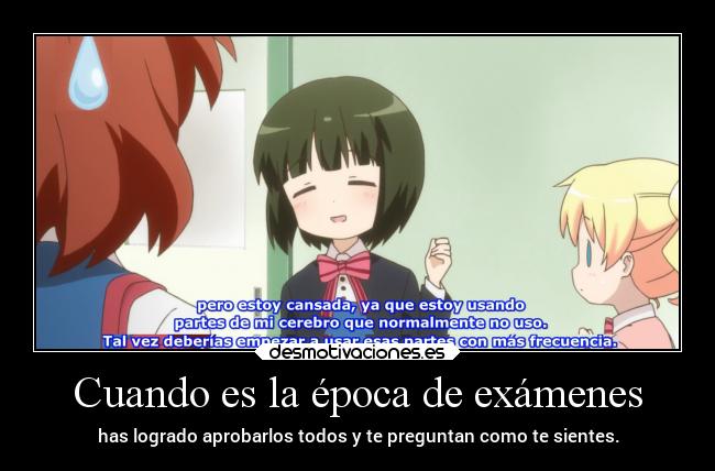 Cuando es la época de exámenes - has logrado aprobarlos todos y te preguntan como te sientes.
