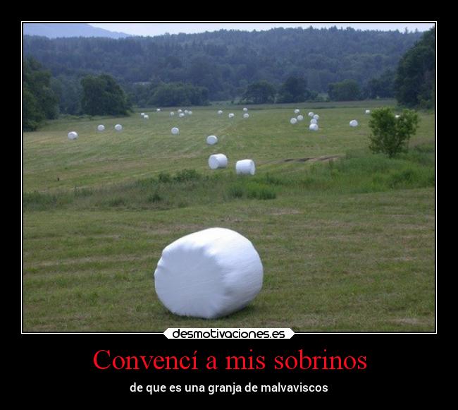 Convencí a mis sobrinos - de que es una granja de malvaviscos