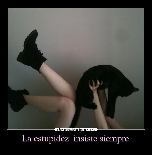 La estupidez  insiste siempre. - 