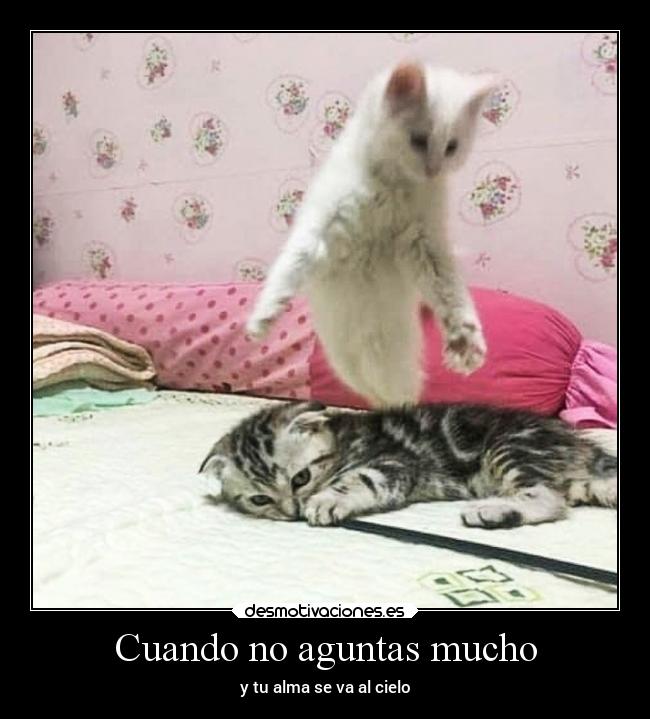 Cuando no aguntas mucho - y tu alma se va al cielo