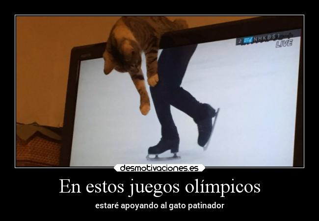 En estos juegos olímpicos - estaré apoyando al gato patinador