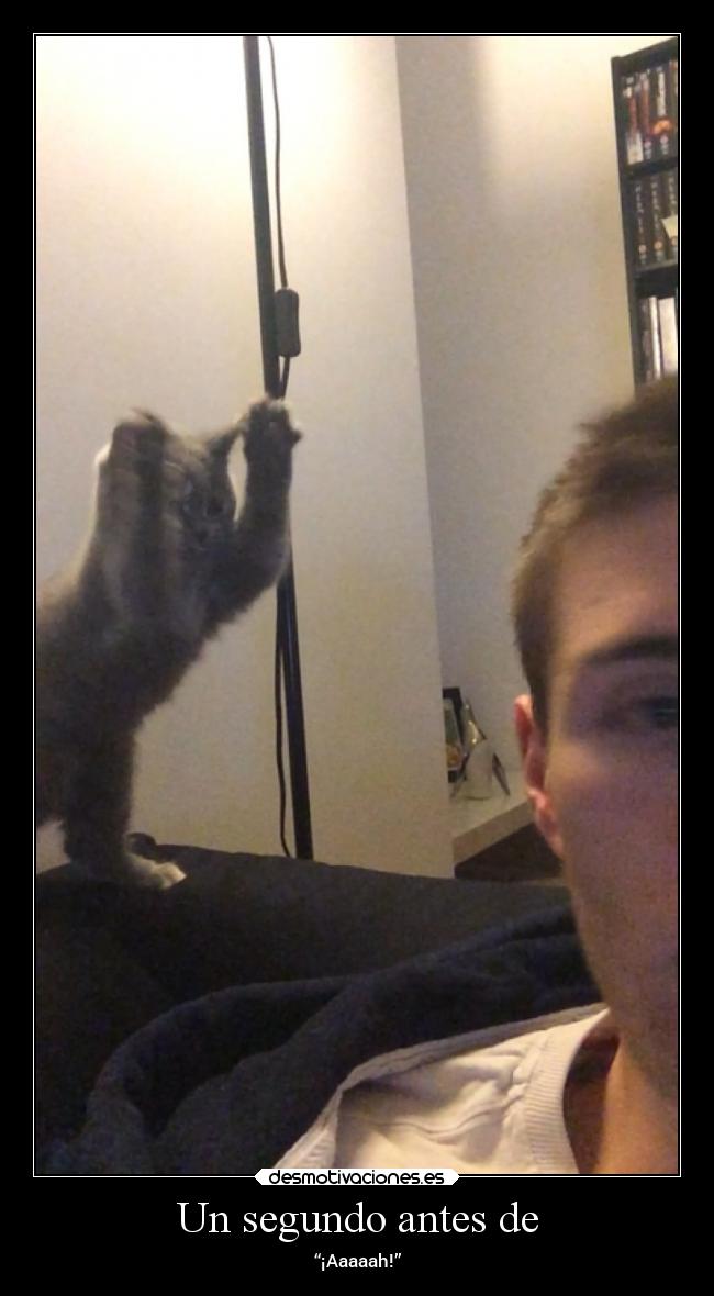 Un segundo antes de - “¡Aaaaah!”