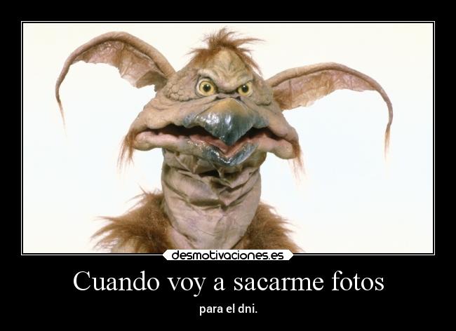 Cuando voy a sacarme fotos - 