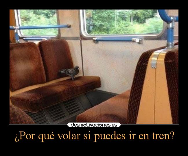 ¿Por qué volar si puedes ir en tren? - 