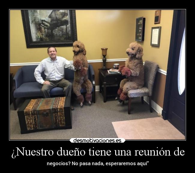 ¿Nuestro dueño tiene una reunión de - negocios? No pasa nada, esperaremos aquí”