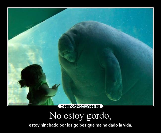 No estoy gordo, - estoy hinchado por los golpes que me ha dado la vida.