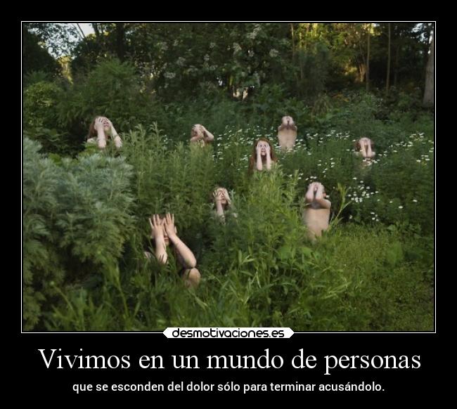 carteles mundo desmotivaciones vida projectd manada32 desmotivaciones