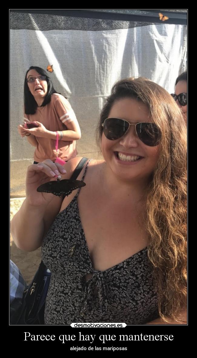 Parece que hay que mantenerse - alejado de las mariposas