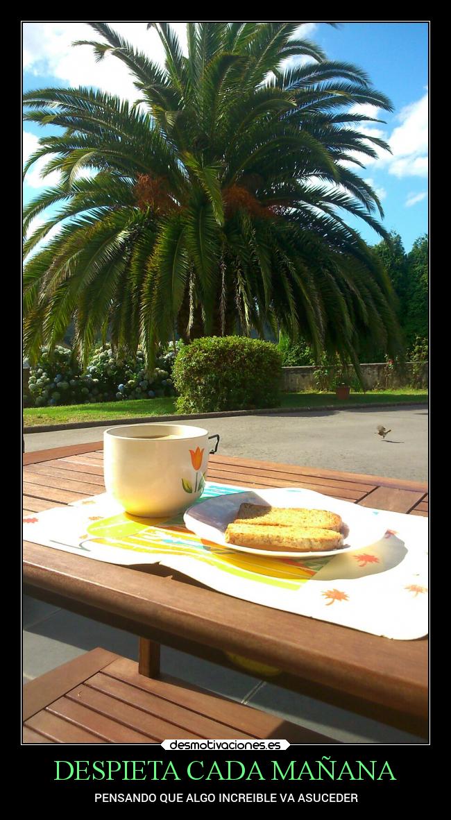 carteles pensamientos que algo increible asuceder desmotivaciones