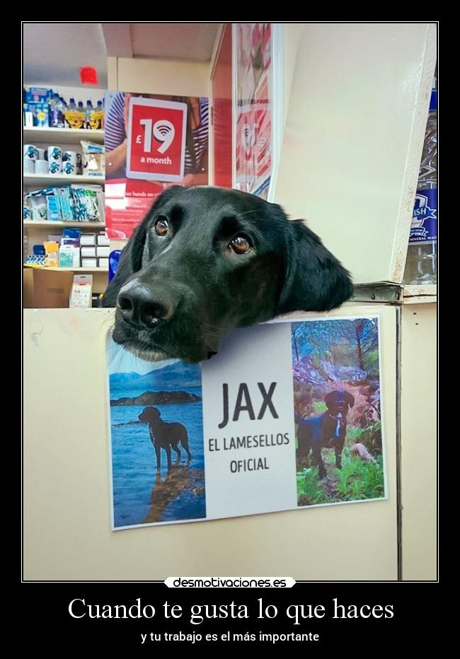 Cuando te gusta lo que haces - y tu trabajo es el más importante