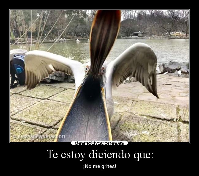Te estoy diciendo que: - ¡No me grites!