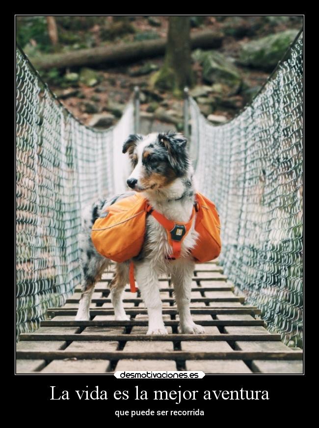 La vida es la mejor aventura - que puede ser recorrida