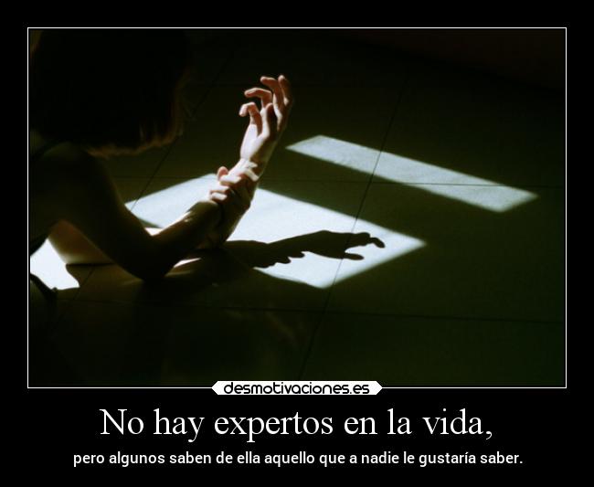 No hay expertos en la vida, -