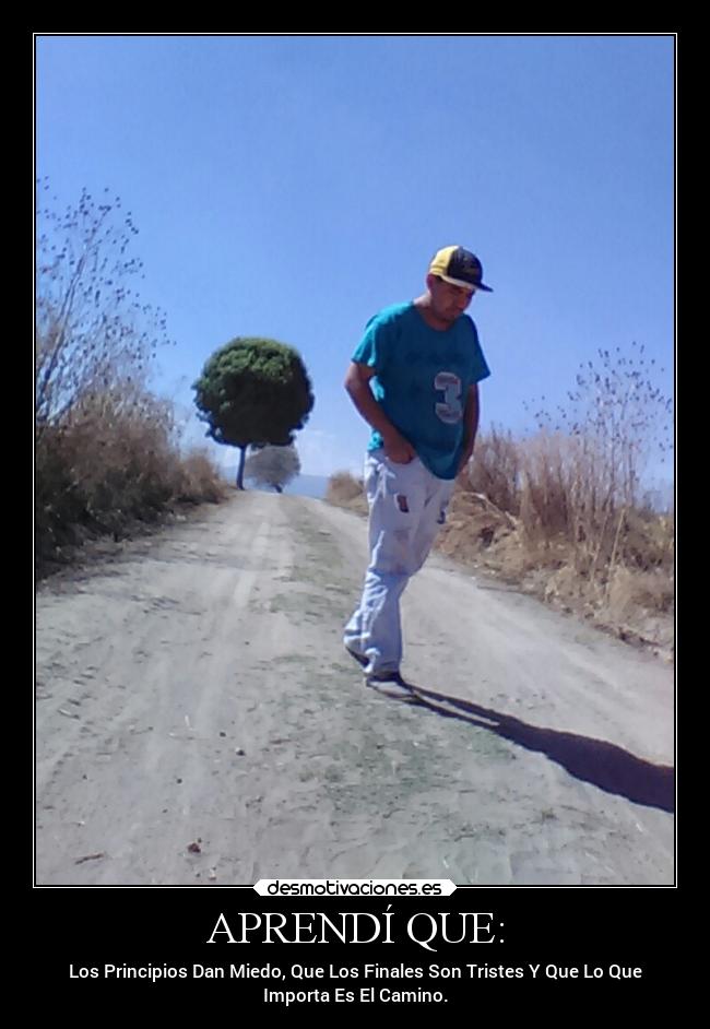 carteles vida distancia desmotivaciones